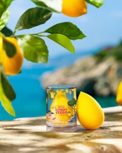 beautyblender limoncello Makeup spons