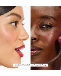 clinique chubby stick Cheek Color Balm