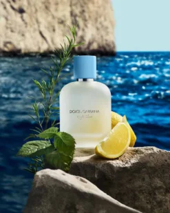dolce & gabbana light blue pour homme Eau De Toilette