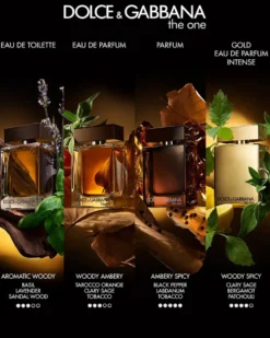 dolce & gabbana the one for men Parfum