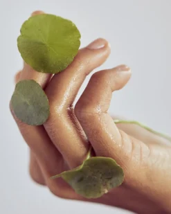 erborian centella asiatica cleansing gel VERZACHTENDE ZACHTE REINIGINGSGEL