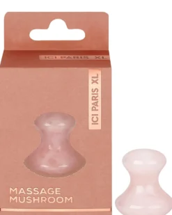 ici paris xl accessoires MASSAGESTEEN VAN ROZENKWARTS