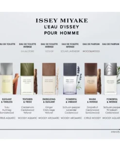 issey miyake l'eau d'issey pour homme EAU DE TOILETTE SPRAY