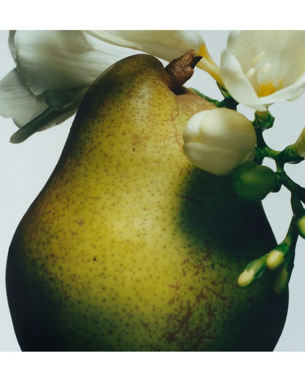 jo malone london english pear & freesia Home Diffuser Refill