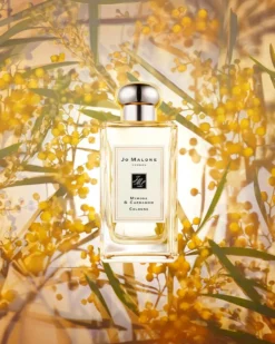 jo malone london mimosa & cardamom COLOGNE