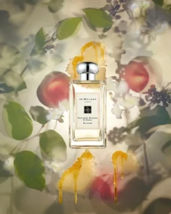 jo malone london nectarine blossom & honey COLOGNE