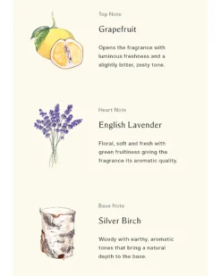 jo malone london silver berch & lavender COLOGNE