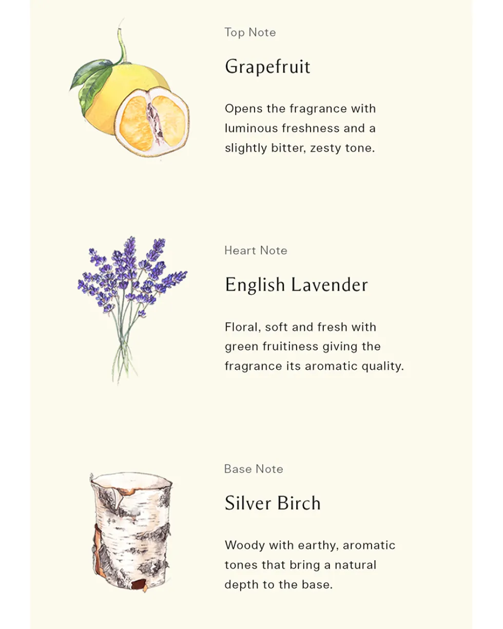 jo malone london silver berch & lavender COLOGNE