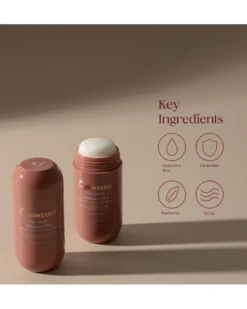 queen tarzi korean skincare The Gentle Skincare Stick
