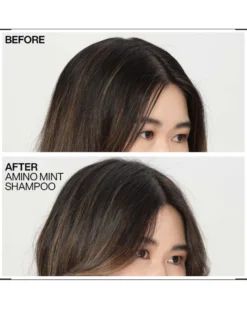 redken amino mint Shampoo - verfrist & hydrateert