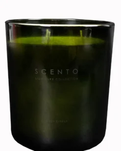 scento signature collection fizzy citrus GROTE KAARS