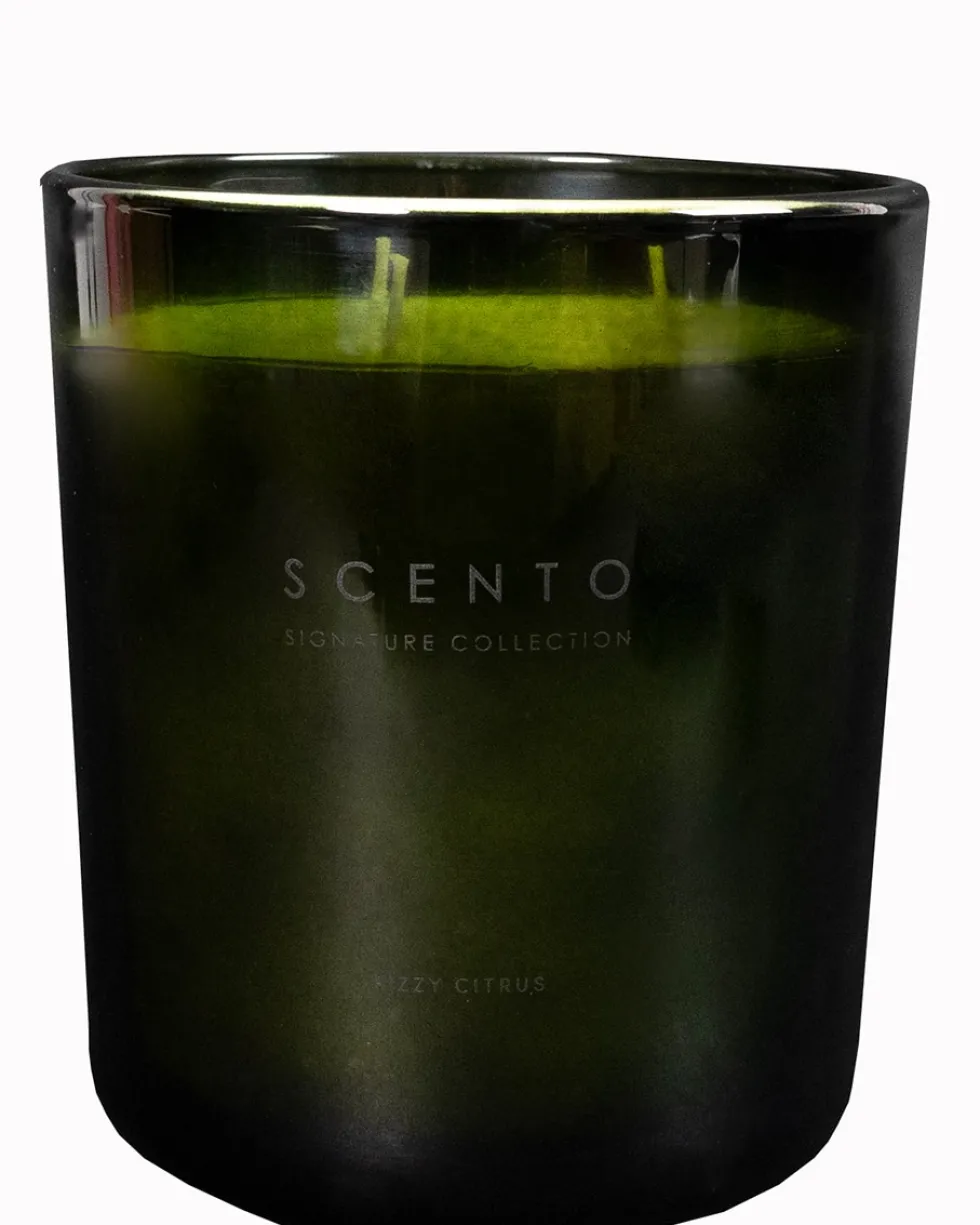 scento signature collection fizzy citrus GROTE KAARS