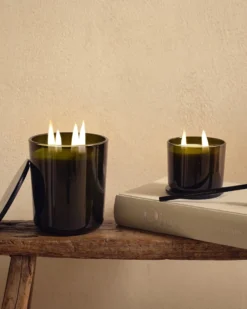 scento signature collection fizyy citrus KLEINE KAARS