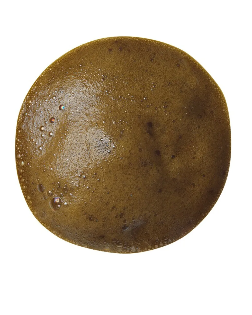 self tan classic TANNING MOUSSE VOOR HET LICHAAM
